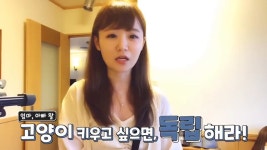 [스압주의] 일본인 캣맘 유튜버 1편 - 포크레인으로 마당 갈아엎음 - 인스티즈(instiz) 이슈 카테고리 [스압주의] 일본인 캣맘 유튜버 1편... 