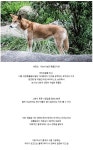 캣맘은 있어도 도그맘은 없는 이유 - 인스티즈(instiz) 이슈 카테고리