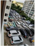 이런 주차 거주지 살수있다vs살수없다 - 인스티즈(instiz) 이슈 카테고리