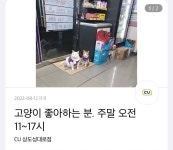 고양이 좋아하는 사람을 뽑는 편의점 구인공고 - 인스티즈(instiz) 이슈 카테고리 고양이 좋아하는 사람을 뽑는 편의점 구인공고