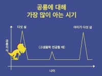 공룡에 대한 지식이 많아지는 시기.jpg - 인스티즈(instiz) 이슈 카테고리 공룡에 대한 지식이 많아지는 시기.jpg