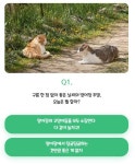 haha ha 양어장 고양이 mbti (냥bti) 테스트 - 인스티즈(instiz) 이슈 카테고리 haha ha 양어장 고양이 mbti (냥bti) 테스트