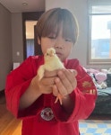 진짜 골때리는 거같은 홍영기 아들 재원이 - 인스티즈(instiz) 이슈 카테고리