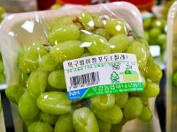 농협 하나로마트 직원의 과일이름 작명센스 - 인스티즈(instiz) 이슈 카테고리 농협 하나로마트 직원의 과일이름 작명센스