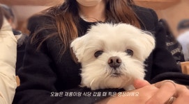 턱괴는 살짝 졸린 재롱이..gif - 인스티즈(instiz) 이슈 카테고리