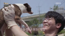 [세상에나쁜개는없다] 강아지 공장에서 구조되어 설채현 전문가에게 입양된 세상이 근황 - 인스티즈(instiz) 이슈 카테고리... 
