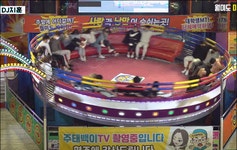 난리난 디스코 팡팡 커플 레전드.gif - 인스티즈(instiz) 이슈 카테고리