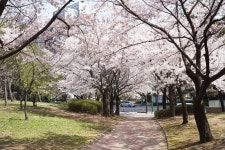 인천 중앙공원에 사는 의외의 동물 - 인스티즈(instiz) 이슈 카테고리 인천 중앙공원에 사는 의외의 동물