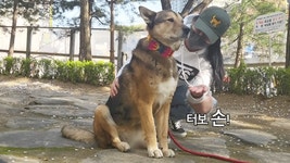 동물병원가서 삐진 진도댕댕 - 인스티즈(instiz) 이슈 카테고리 동물병원가서 삐진 진도댕댕