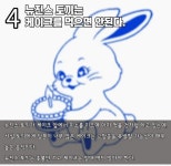 수의사가 분석하는 뉴진스 토끼 특징 - 인스티즈(instiz) 이슈 카테고리