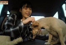 6년전 효리네 민박 속 아이유.gif - 인스티즈(instiz) 이슈 카테고리 6년전 효리네 민박 속 아이유.gif