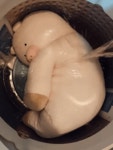 오늘 산 인형 바로 세탁한다고 세탁기에 꾸겨넣었는데 - 인스티즈(instiz) 이슈 카테고리 오늘 산 인형 바로 세탁한다고 세탁기에 꾸겨넣었는데
