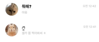 버블로 만우절 장난치는 엔믹스 멤버들 - 인스티즈(instiz) 이슈 카테고리