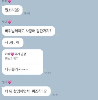 부모님에게 if바퀴벌레 물어본 엔믹스 멤버들.jpgif - 인스티즈(instiz) 인티포털 카테고리 부모님에게 if바퀴벌레 물어본 엔믹스...