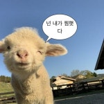 웃기고 하찮은 동물+말풍선 짤 모음 - 인스티즈(instiz) 이슈 카테고리 웃기고 하찮은 동물+말풍선 짤 모음