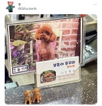 약국 이름이 포도길래 약사님이 포도를 좋아하나? 궁금했는데 - 인스티즈(instiz) 이슈 카테고리