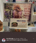 약국 이름이 포도길래 약사님이 포도를 좋아하나? 궁금했는데 - 인스티즈(instiz) 이슈 카테고리 약국 이름이 포도길래 약사님이... 