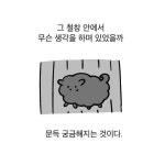 유기견 보호소에서 강아지를 입양 했다 - 인스티즈(instiz) 이슈 카테고리 유기견 보호소에서 강아지를 입양 했다