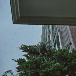섭섭함의 고리 끊기 - 인스티즈(instiz) 이슈 카테고리