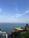 밑에 여시 따라 나도 1박 2일 묵호여행 - 인스티즈(instiz) 이슈 카테고리