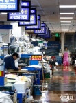 활기 잃은 노량진 수산시장 - 인스티즈(instiz) 이슈 카테고리 활기 잃은 노량진 수산시장