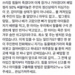 폐업하고 장가나 가자~^^라는 펫샵 주인 - 인스티즈(instiz) 이슈 카테고리 폐업하고 장가나 가자~^^라는 펫샵 주인