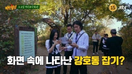 다음주 아는형님 게스트 - 인스티즈(instiz) 이슈 카테고리 다음주 아는형님 게스트