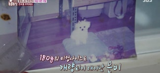 서로를 위해 헤어지는 할머니와 은비 - 인스티즈(instiz) 이슈 카테고리 서로를 위해 헤어지는 할머니와 은비