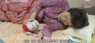 서로를 위해 헤어지는 할머니와 은비 - 인스티즈(instiz) 이슈 카테고리 서로를 위해 헤어지는 할머니와 은비