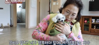 서로를 위해 헤어지는 할머니와 은비 - 인스티즈(instiz) 이슈 카테고리 서로를 위해 헤어지는 할머니와 은비