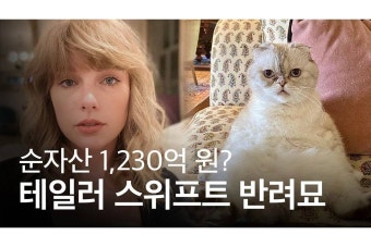 테일러 스위프트 현 남친보다도 재산이 많은 테일러 스위프트 고양이 - 인스티즈(instiz) 이슈 카테고리