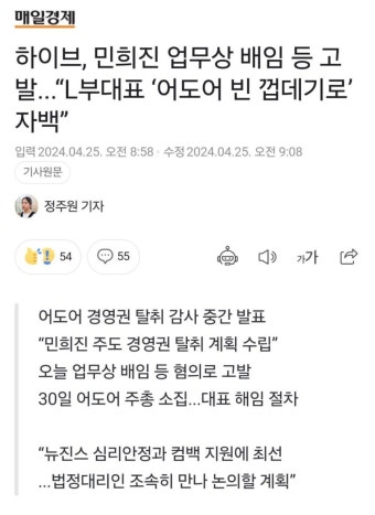 하이브 자백받았다. 당사자는 L 어도어 부대표 - 인스티즈(instiz) 이슈 카테고리
