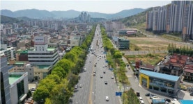 현재 반응안좋은 창원시 도로상태 - 인스티즈(instiz) 이슈 카테고리 현재 반응안좋은 창원시 도로상태