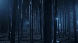 한 유튜버가 촬영한 새벽 2시 서울숲 풍경.gif - 인스티즈(instiz) 이슈 카테고리