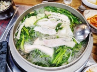 자기 먹지말라고 온몸으로 말하는 생물 - 인스티즈(instiz) 이슈 카테고리