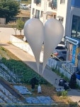 북한 오물풍선 실제 크기 체감 - 인스티즈(instiz) 이슈 카테고리