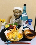 🐱어서오세요 저녁에도 운영하는 갈치 식당 입니다~ - 인스티즈(instiz) 이슈 카테고리