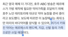 동물학대가 뭐야?…에르메스, 명품백용 악어농장 강행한다 - 인스티즈(instiz) 이슈 카테고리 동물학대가 뭐야?…에르메스, 명품백용 악어농장... 