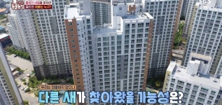 학계에 보고될 초희귀 사례급 반전인 오늘자 동물농장.jpg - 인스티즈(instiz) 이슈 카테고리 학계에 보고될 초희귀 사례급 반전인 오늘자... 