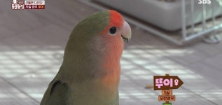 학계에 보고될 초희귀 사례급 반전인 오늘자 동물농장.jpg - 인스티즈(instiz) 이슈 카테고리 학계에 보고될 초희귀 사례급 반전인 오늘자... 