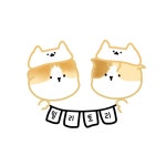 헬스장 코치들이 보면 환장할 회원들 - 인스티즈(instiz) 이슈 카테고리