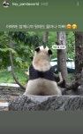 푸바오 삼각김밥 근황 - 인스티즈(instiz) 이슈 카테고리