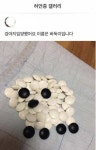 강아지 입양했어요 이름은 바둑이 입니다 - 인스티즈(instiz) 이슈 카테고리