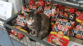 바베큐 참숯 대신에 날 사가라 - 인스티즈(instiz) 이슈 카테고리