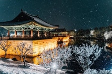 눈 내리는 경주 동궁과 월지 - 인스티즈(instiz) 이슈 카테고리 눈 내리는 경주 동궁과 월지