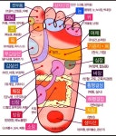 발이 너무아파서 혈자리알아봤어요 - 인스티즈(instiz) 이슈 카테고리 발이 너무아파서 혈자리알아봤어요