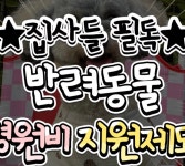 반려동물 의료비 지원 - 인스티즈(instiz) 이슈 카테고리 반려동물 의료비 지원