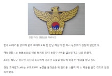 한우 63마리 떼죽음, 알고보니 주인이 굶겨···30대 농장주 바빠서 관리 못했다” - 인스티즈(instiz) 이슈 카테고리