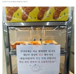 매장에 길고양이 있어서 위생신고 당한 편의점 - 인스티즈(instiz) 이슈 카테고리 매장에 길고양이 있어서 위생신고 당한 편의점