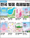 전국 벚꽃 축제 일정 - 인스티즈(instiz) 이슈 카테고리